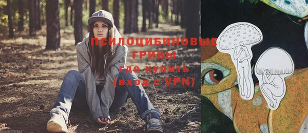 винт Лиски