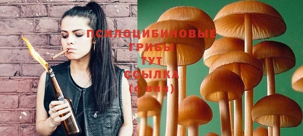 гашиш Магас