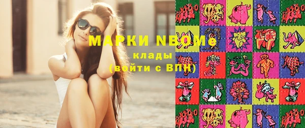 индика Верея