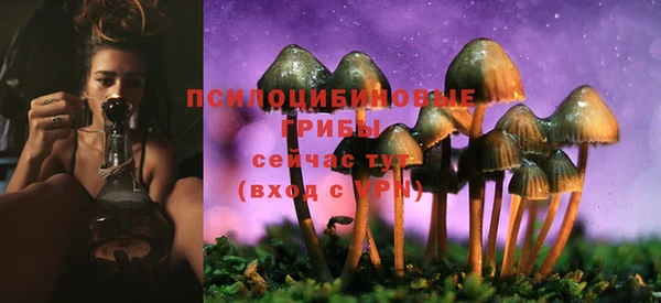 бутират Магадан